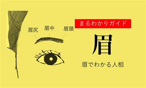 眉 運勢|【人相学】眉毛の形22種類で性格・将来性が判明！あなたの未来。